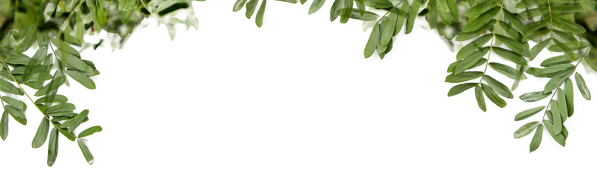 مركز تنوير الأسرة للدراسات والابحاث